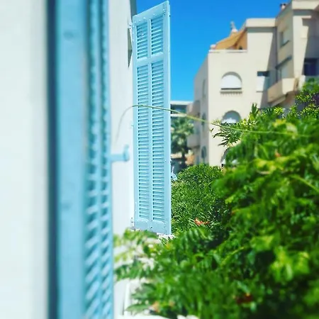 Alexandre Iii Cannes