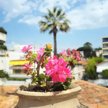 Alexandre Iii Cannes