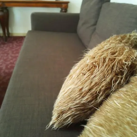 Hotel Alexandre Iii Cannes