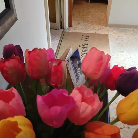 Alexandre Iii Cannes