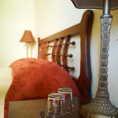 فندق Alexandre Iii 3*